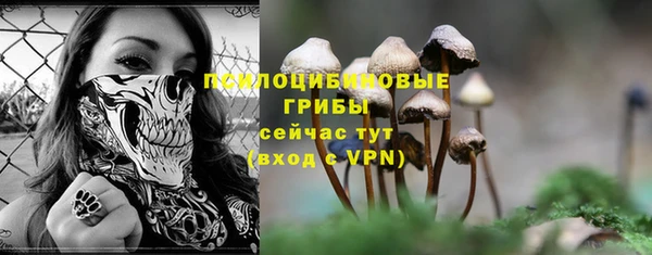 каннабис Майский