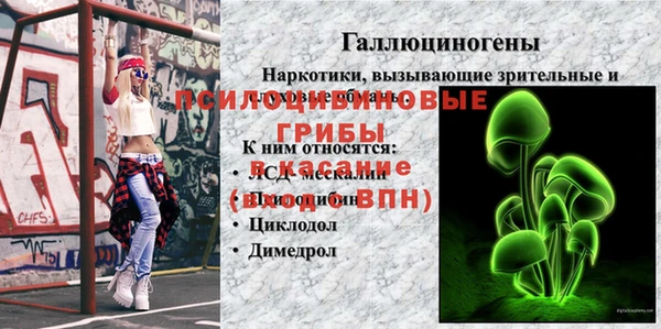 каннабис Майский