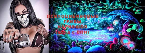 каннабис Майский