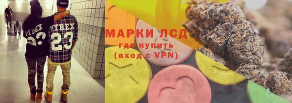 каннабис Майский