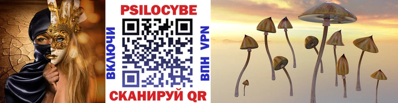 Псилоцибиновые грибы Psilocybine cubensis  гидра вход  Александровское  darknet телеграм  закладка 